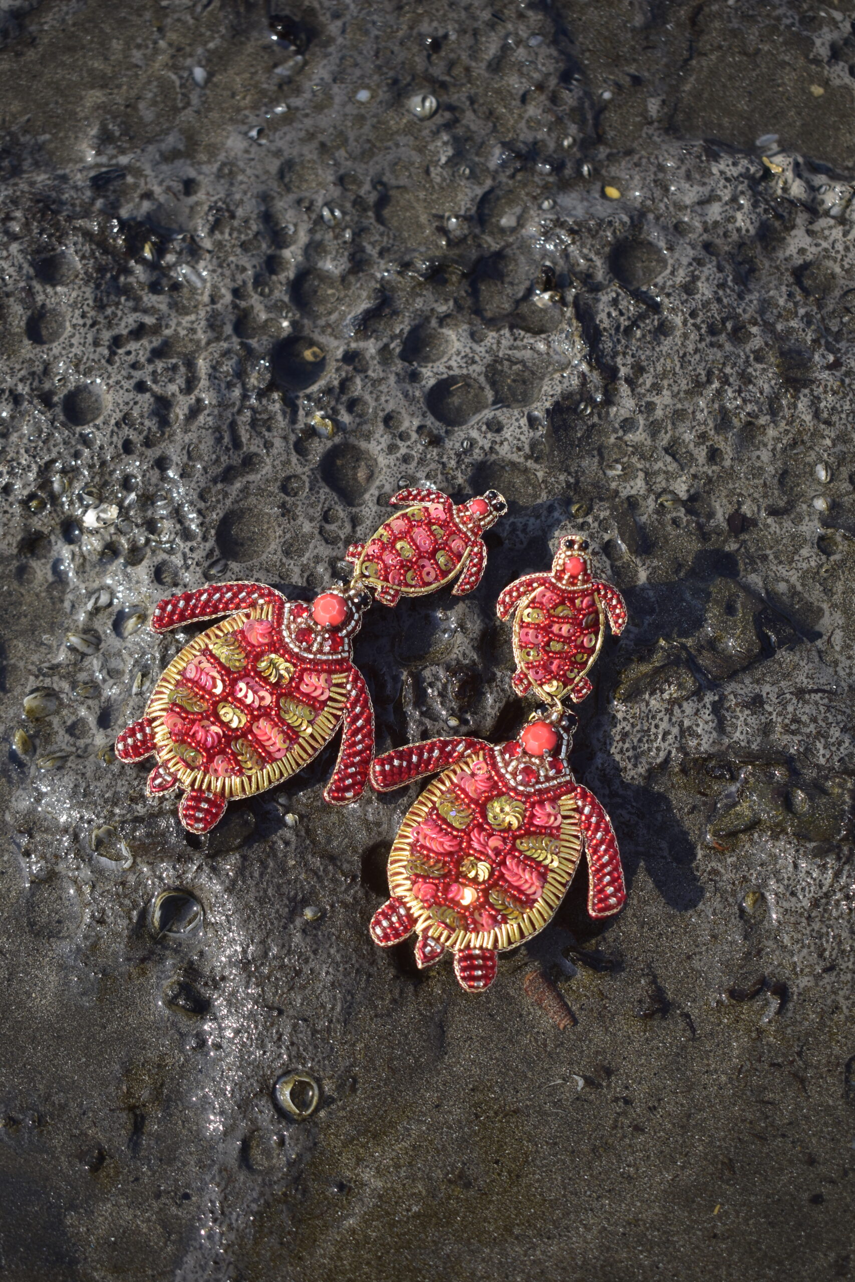 Coral_1